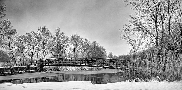 bridge near trees and body of water thumbnail