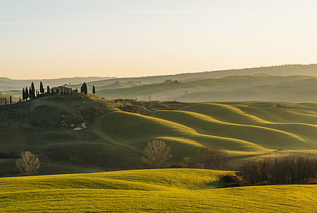 panoramic photography of green field and trees thumbnail