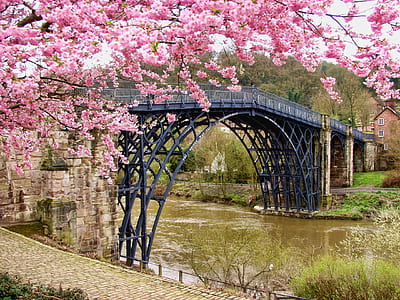 landscape, nature, landmark, flowers thumbnail