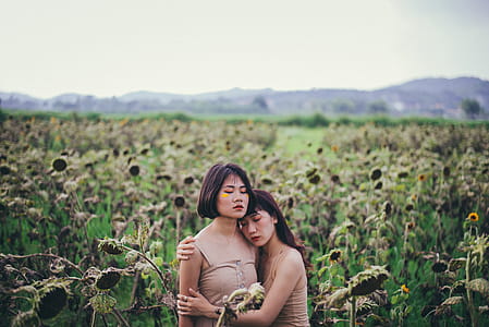 Two Women Hugging on Sunflower Field thumbnail