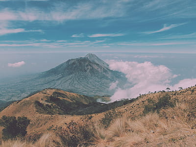 green trees covered mountain thumbnail