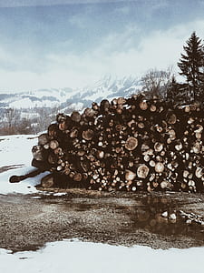 fire woods thumbnail