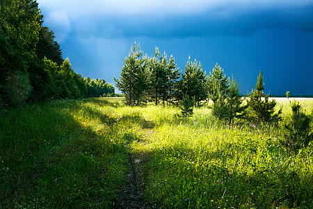 landscape photography of dirt pathway between grass thumbnail