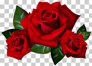 Rose , Red Roses , red roses 3D art PNG clipart
