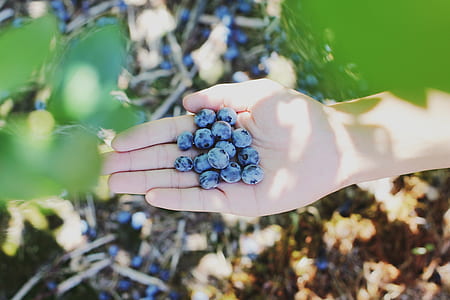 black fruit lot on hand thumbnail