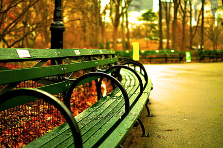 landscape photography of green chair thumbnail