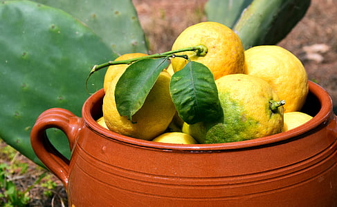 round yellow fruits in pot thumbnail