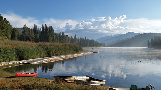 two white paddle boats beside body of water thumbnail
