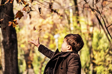 boy near trees thumbnail