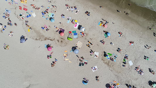bird's eye view photography of group of people at the beach thumbnail