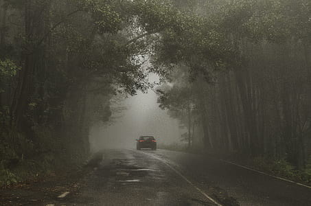 cold, wood, light, road thumbnail