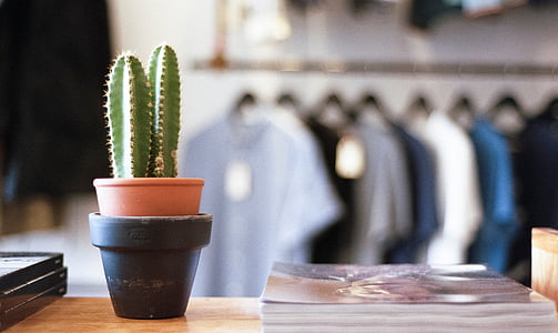 selective focus photo of potted cactus on table near books thumbnail