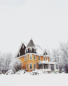 brown concrete house covered with snow near bare trees thumbnail
