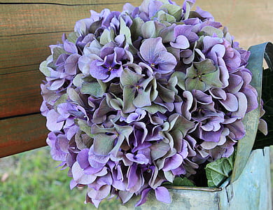 purple petaled flower arrangements thumbnail