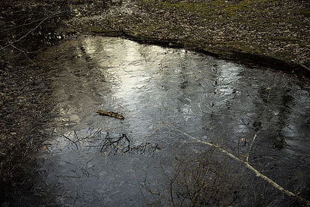 Ice Patterns on the water in the creek at Hawn State Park, Missouri thumbnail
