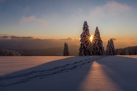 snowcapped pine trees on mountain taken during sunset thumbnail