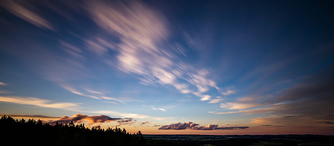 time lapse silhouette photography of a trees during golden hour thumbnail