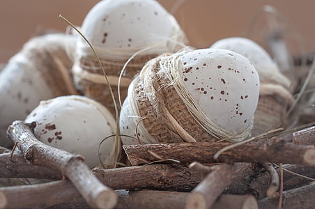 selective focus photography of poultry eggs thumbnail