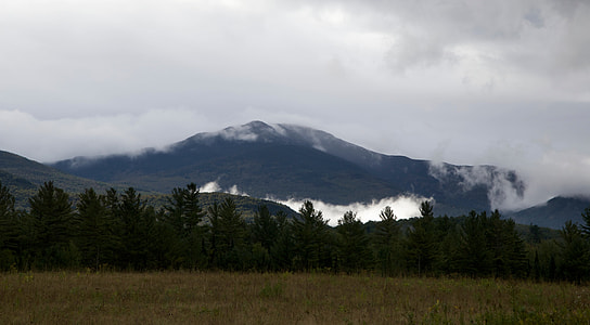mist mountain across the forest thumbnail