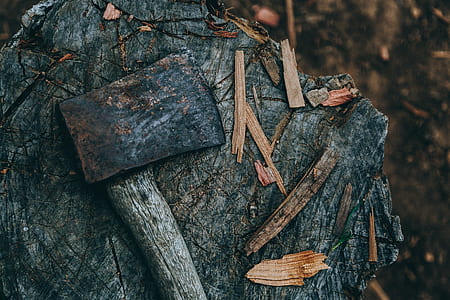 axe on tree stump thumbnail