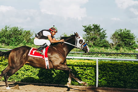Man Riding Horse thumbnail