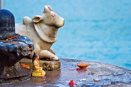 grey animal statue selective focus photography thumbnail