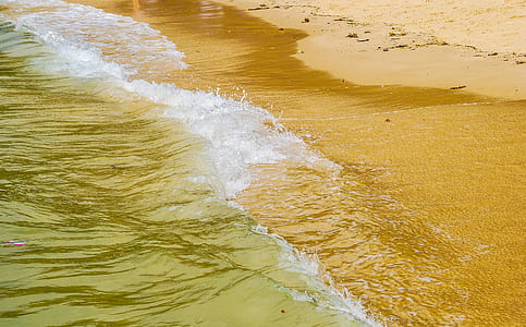 beach shore during daytime thumbnail