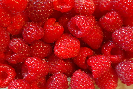 bunch of raspberries thumbnail
