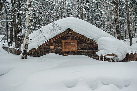 snow covered house thumbnail