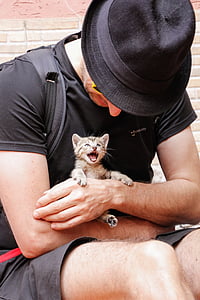 man holding brown tabby kitten thumbnail