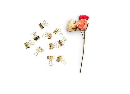 romantic, flowers, paper clips, roses thumbnail