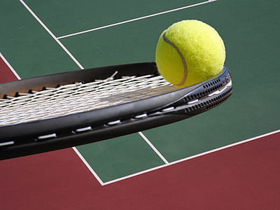yellow tennis ball in black lawn tennis racket thumbnail