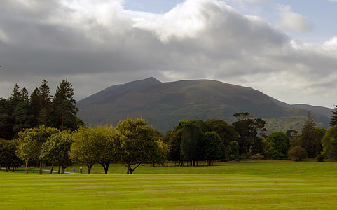 green grass field with trees near mountain thumbnail