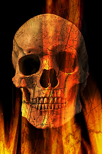 skull wallpaper thumbnail