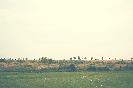 landscape photography of green grass field thumbnail