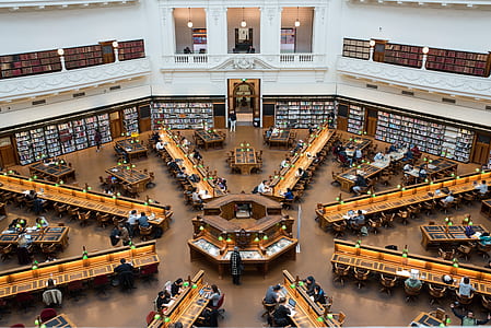 people inside library thumbnail