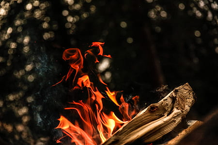 bonfire during nighttime thumbnail
