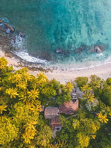 aerial photography of houses on seaside near trees thumbnail