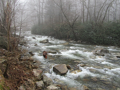 river in between trees thumbnail