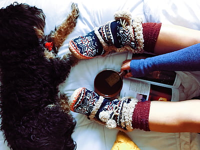 person holding brown ceramic mug beside long-coated black dog lying on white comforter close-up photo thumbnail