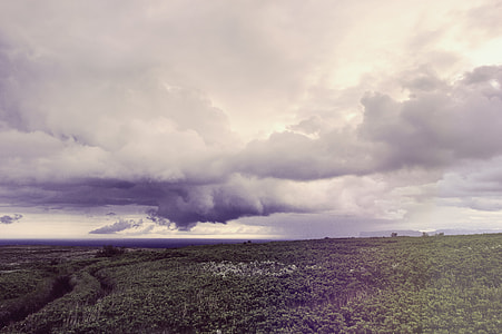 grass field under cloudy sky during daytime thumbnail