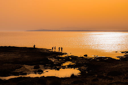 silhouette of people walking on shore thumbnail