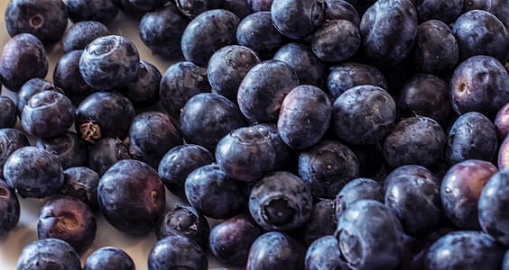 Blueberries thumbnail