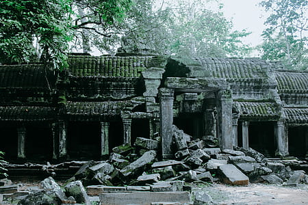 gray concrete ruins in a forest thumbnail