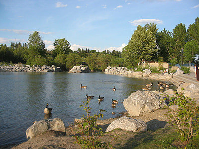 Prince Island's park landscape in Calgary, Alberta, Canada thumbnail