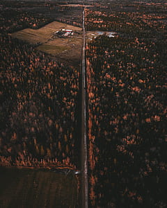 aerial view photography of road surrounded of trees thumbnail