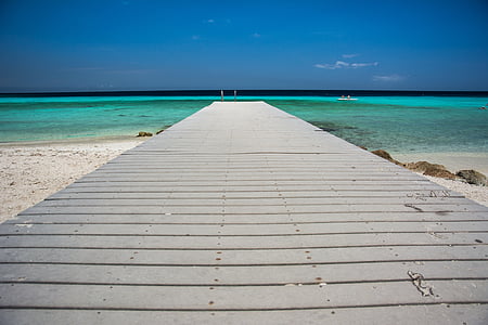photo of gray dock thumbnail