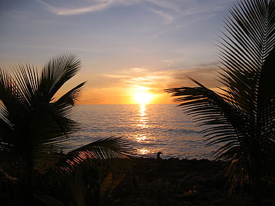 silhouette of trees beside water thumbnail