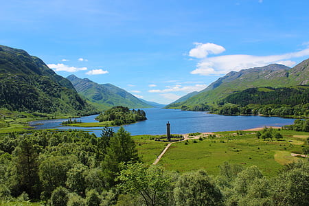 high-angle photography of green leaf trees near body of water thumbnail