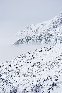 tundra mountain thumbnail